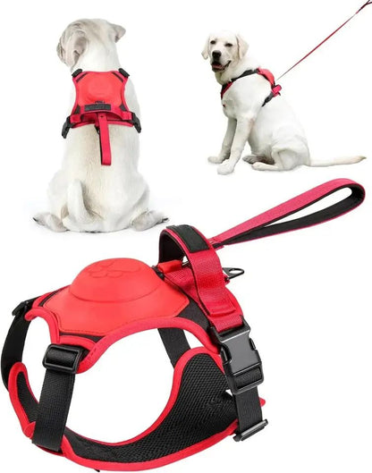SecureWalk All-in-One Retractable Harness and Leash System